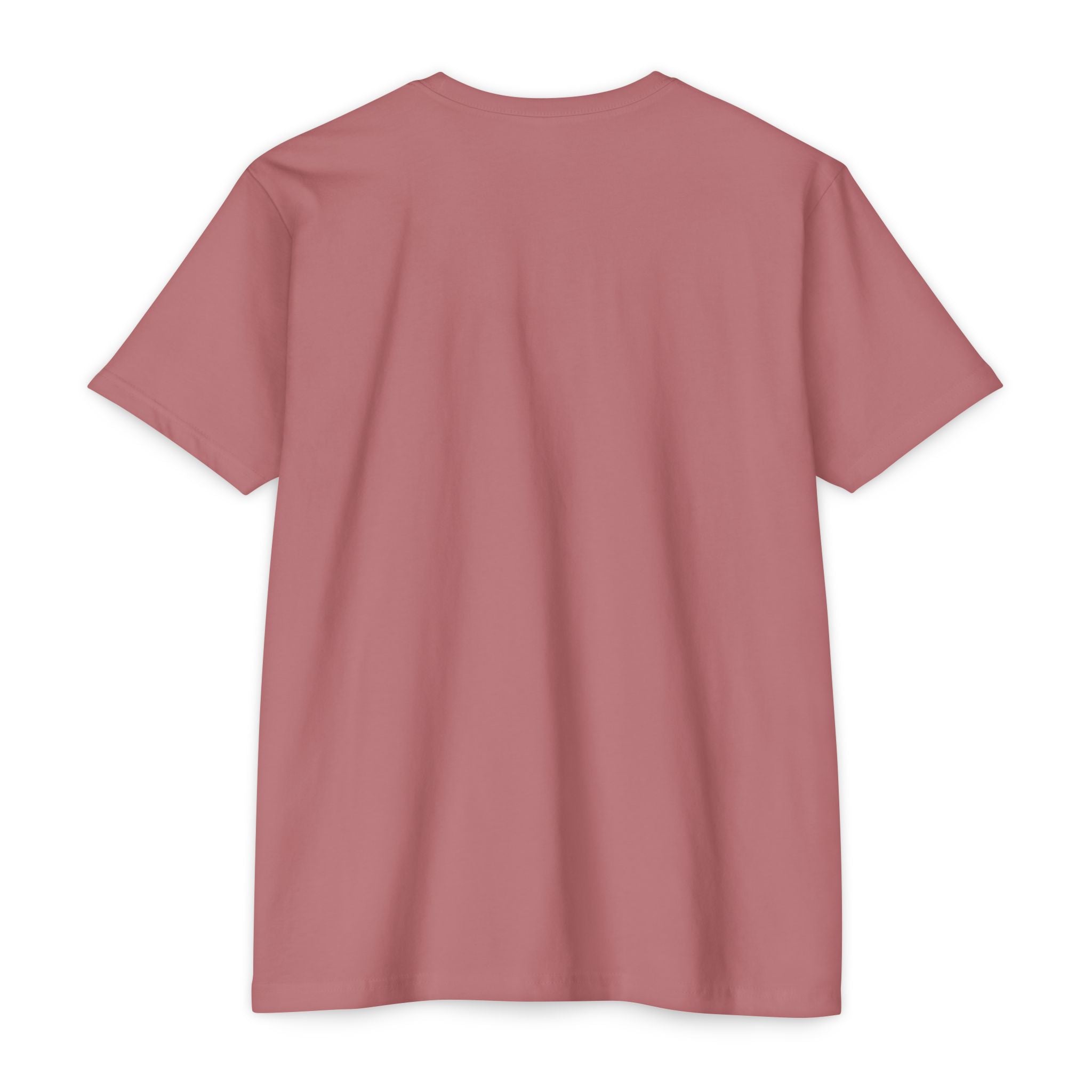 Promoted to Daddy T-Shirt