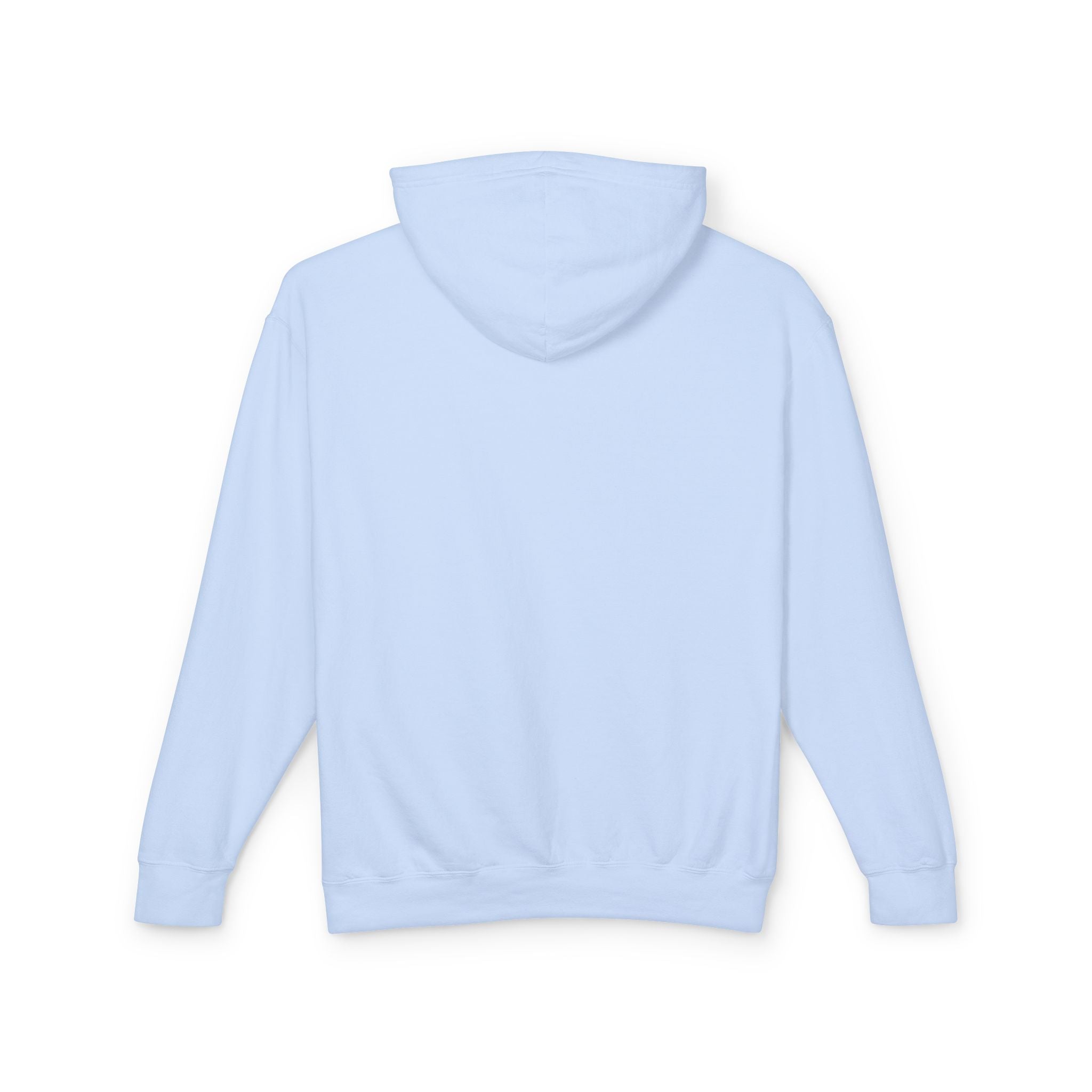 Panda Love Hoodie — Cute Sitting Panda Graphic Lightweight Pullover